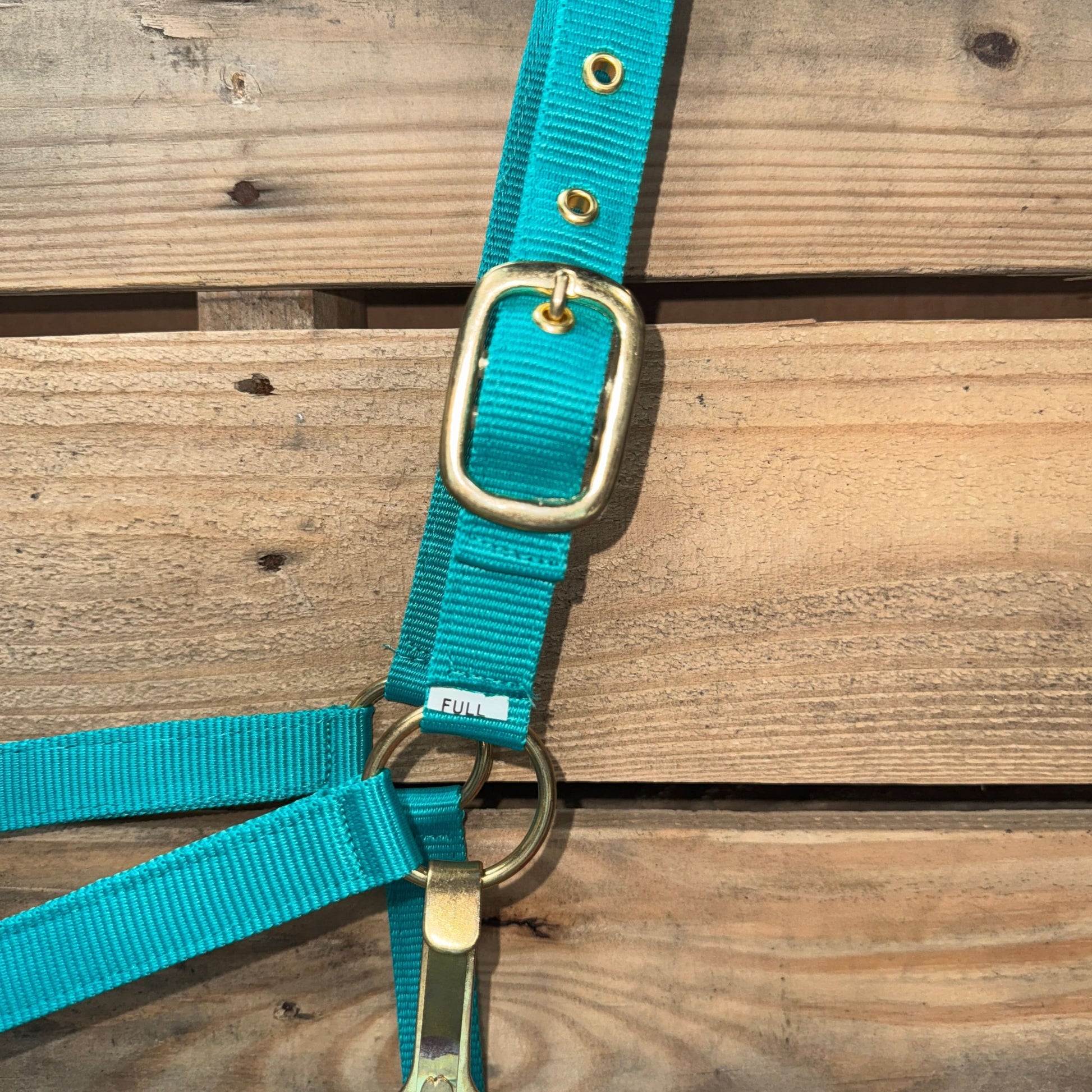 Teal  Nylon Horse Halter NHTEAL