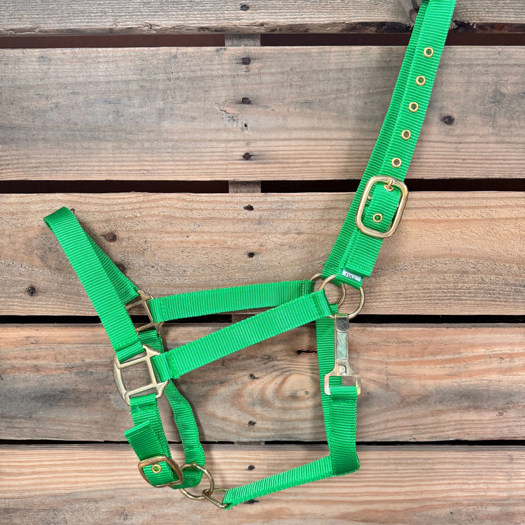 Lime Nylon Horse Halter NHNGN