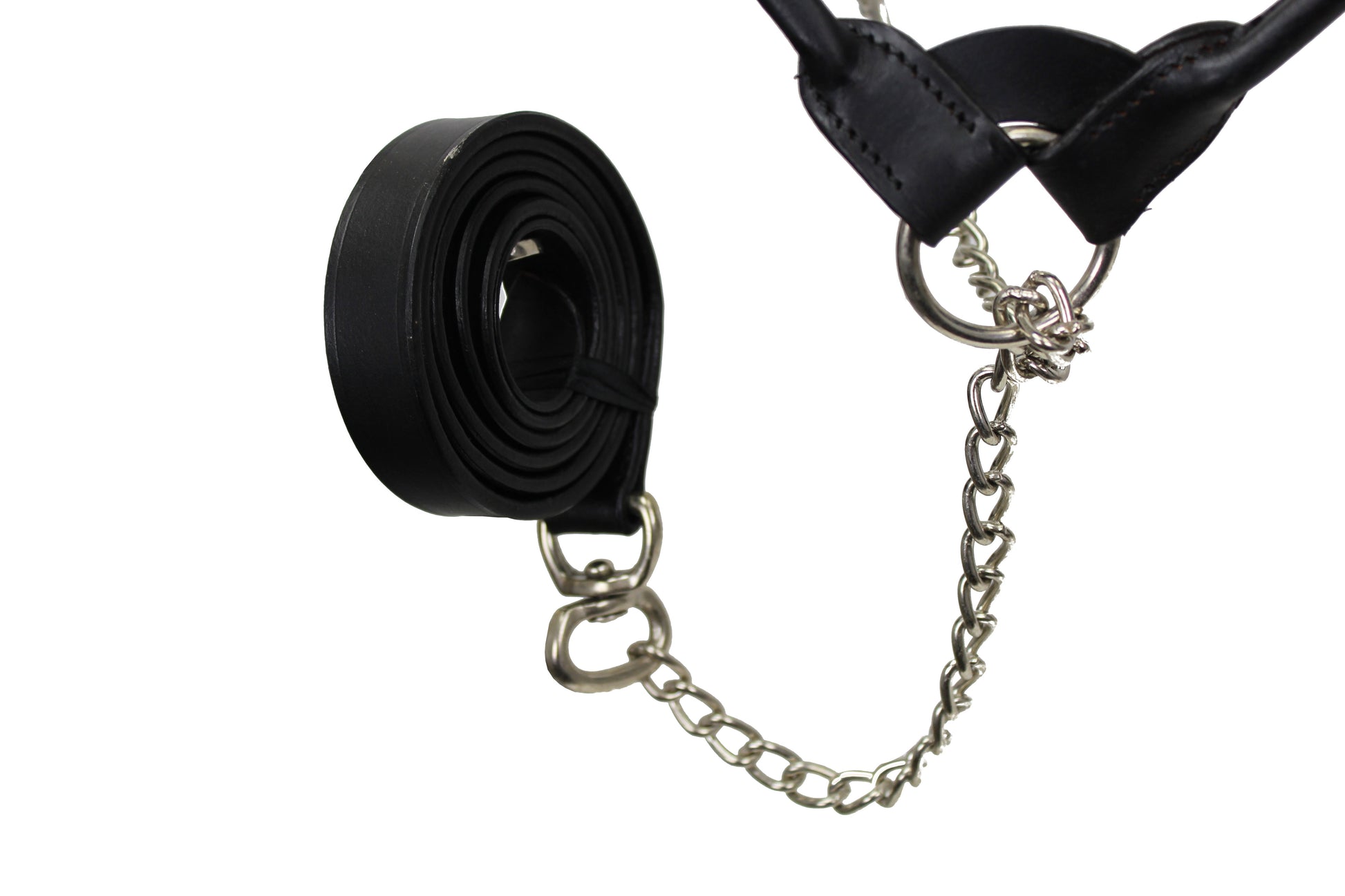 Derby Originals Rolled Leather Cattle Show Halter – Adjustable Fit with 48" Lead and 14" Chain, Small/Medium/Large – 1-Year Warranty