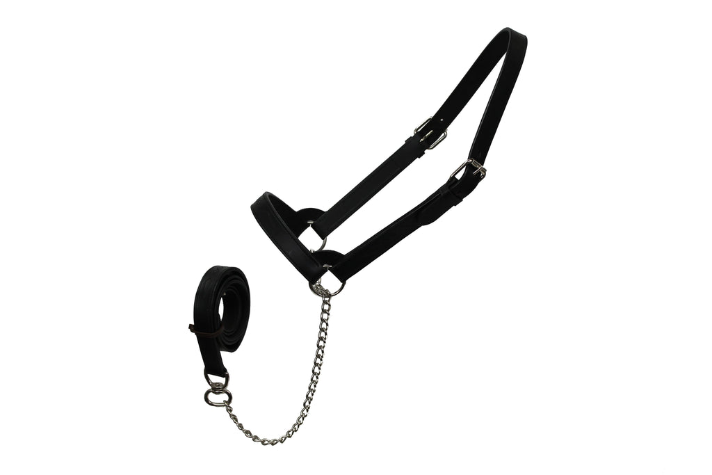 Derby Originals Premium Fancy Stitch Flat Leather Cattle Show Halter – Adjustable Fit with 48" Lead and 14" Chain, Small/Medium/Large – 1-Year Warranty