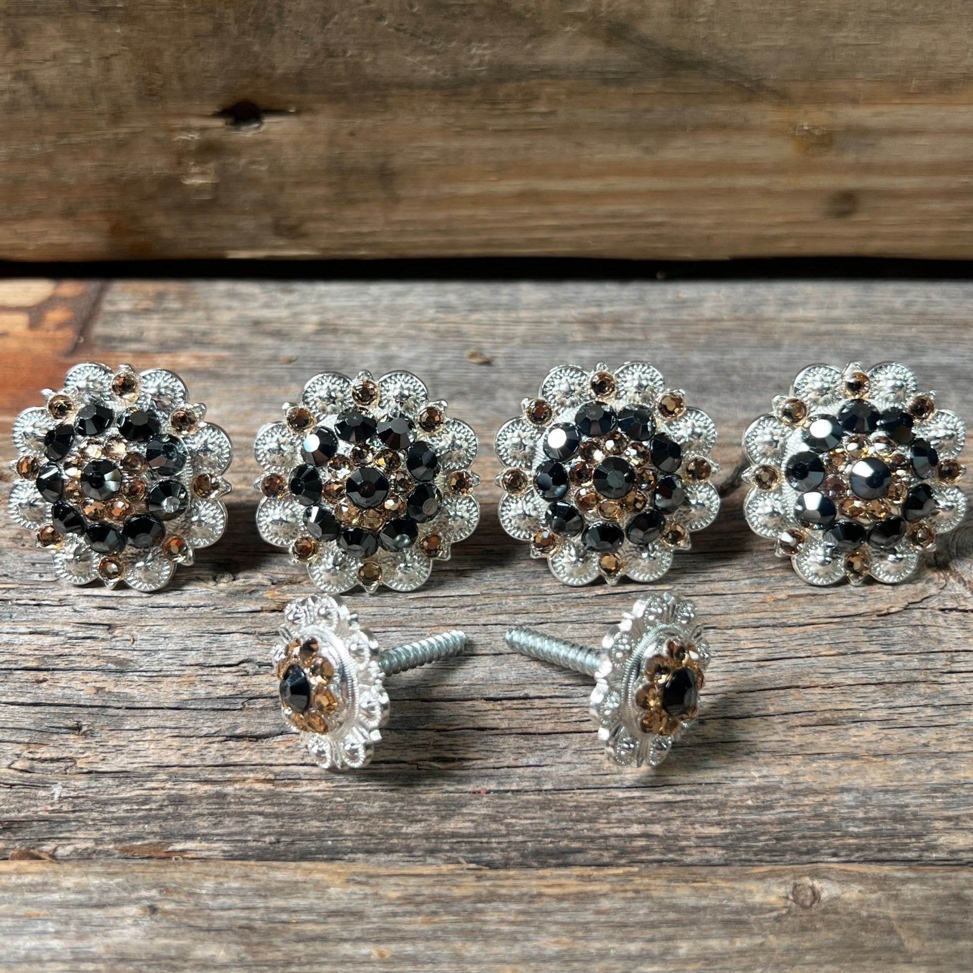 Bright Silver Jet & Champagne Saddle Conchos