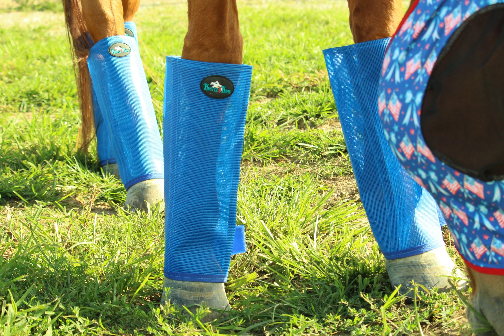 Ocean Blue Fly Boots