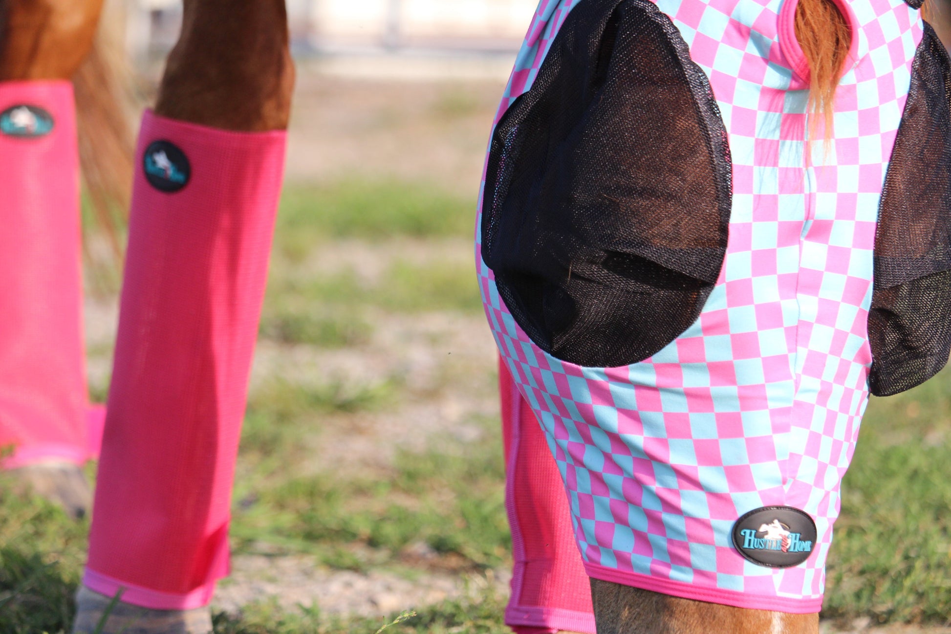Checks Out (Pink/Turquoise) Fly Mask