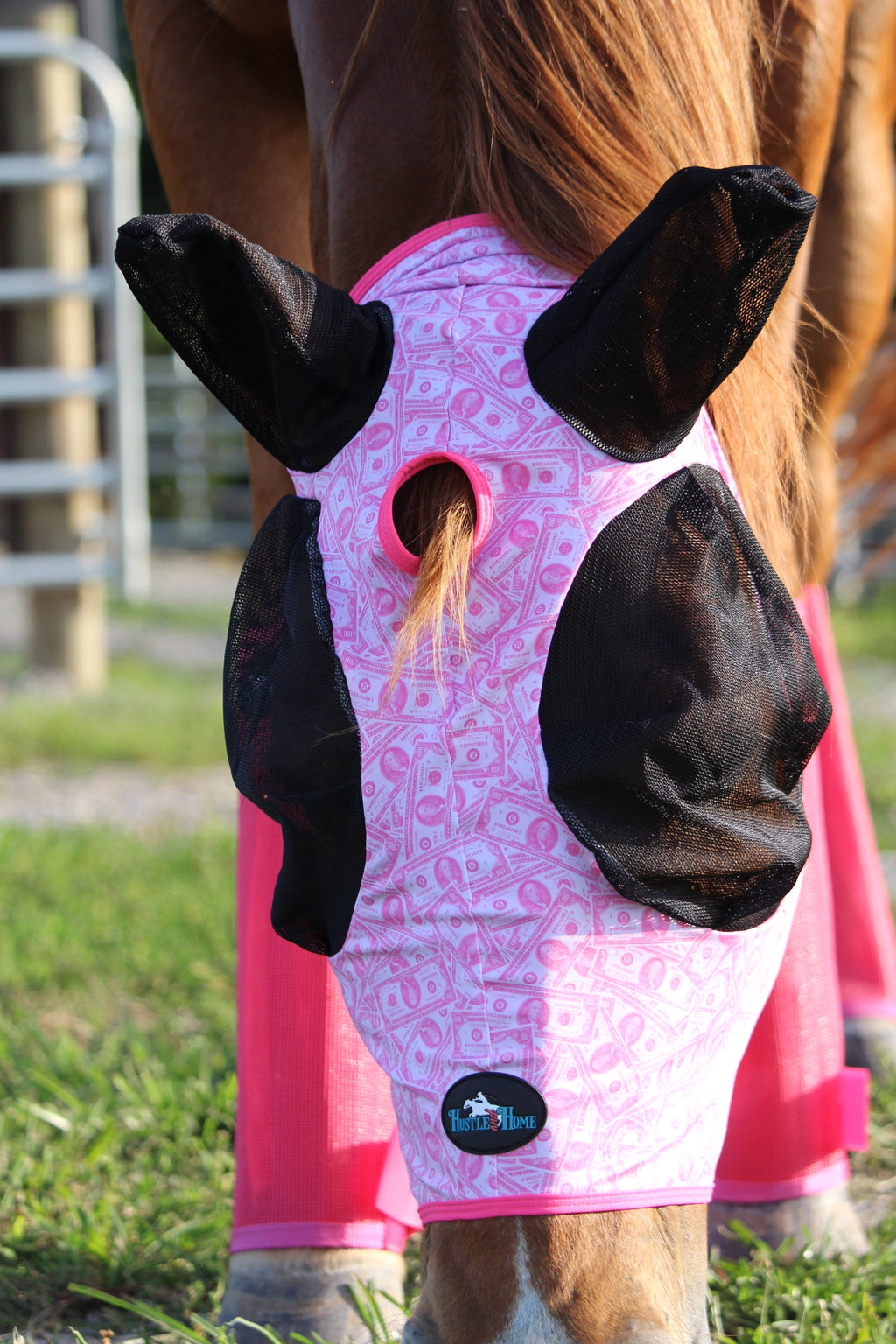 Dash for Cash (Pink) Fly Mask