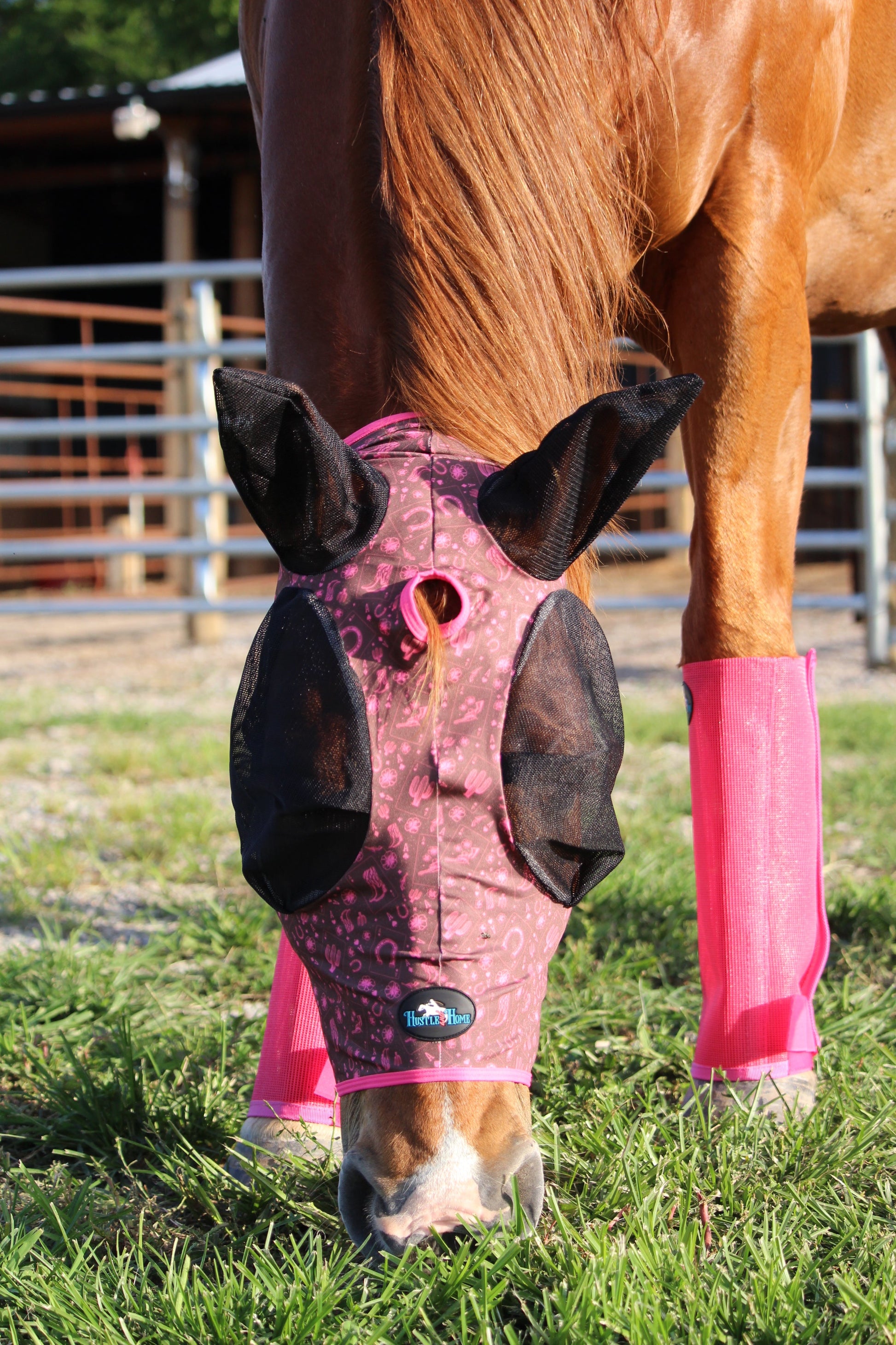 Lucky Draw Fly Mask
