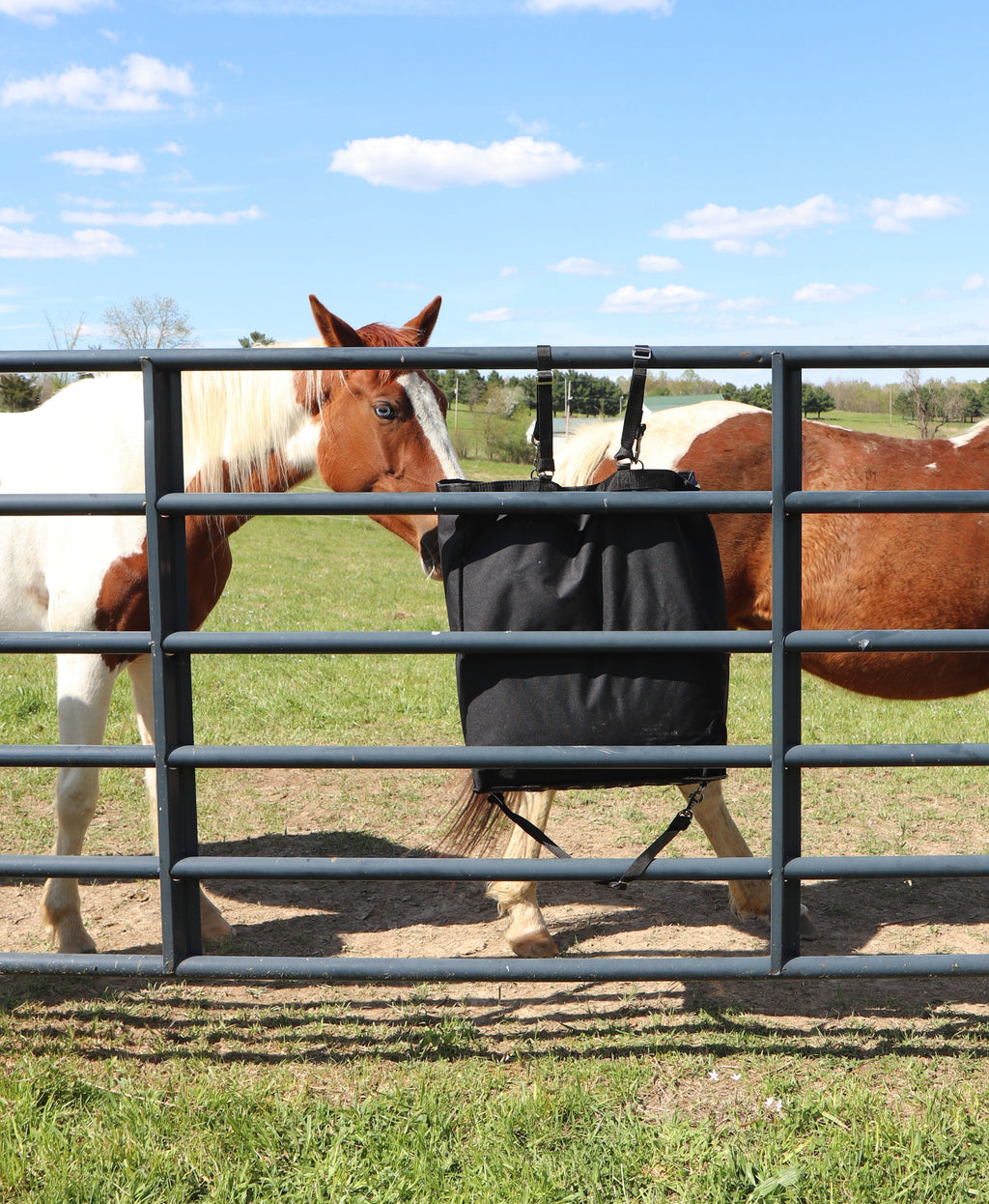 Ultra Slow Feed Hay Bag – 1" Square Openings – Maximum Feeding Time Extension – 6-Month Warranty | Super Tough Bottom