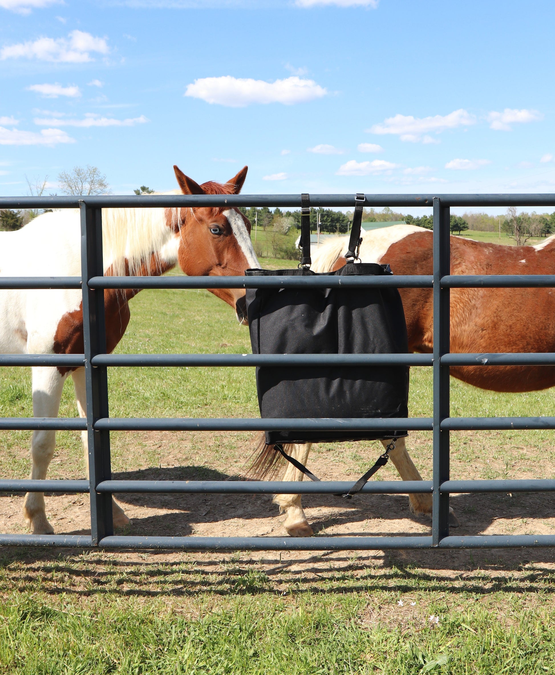 Ultra Slow Feed Hay Bag – 1" Square Openings – Maximum Feeding Time Extension – 6-Month Warranty | Super Tough Bottom