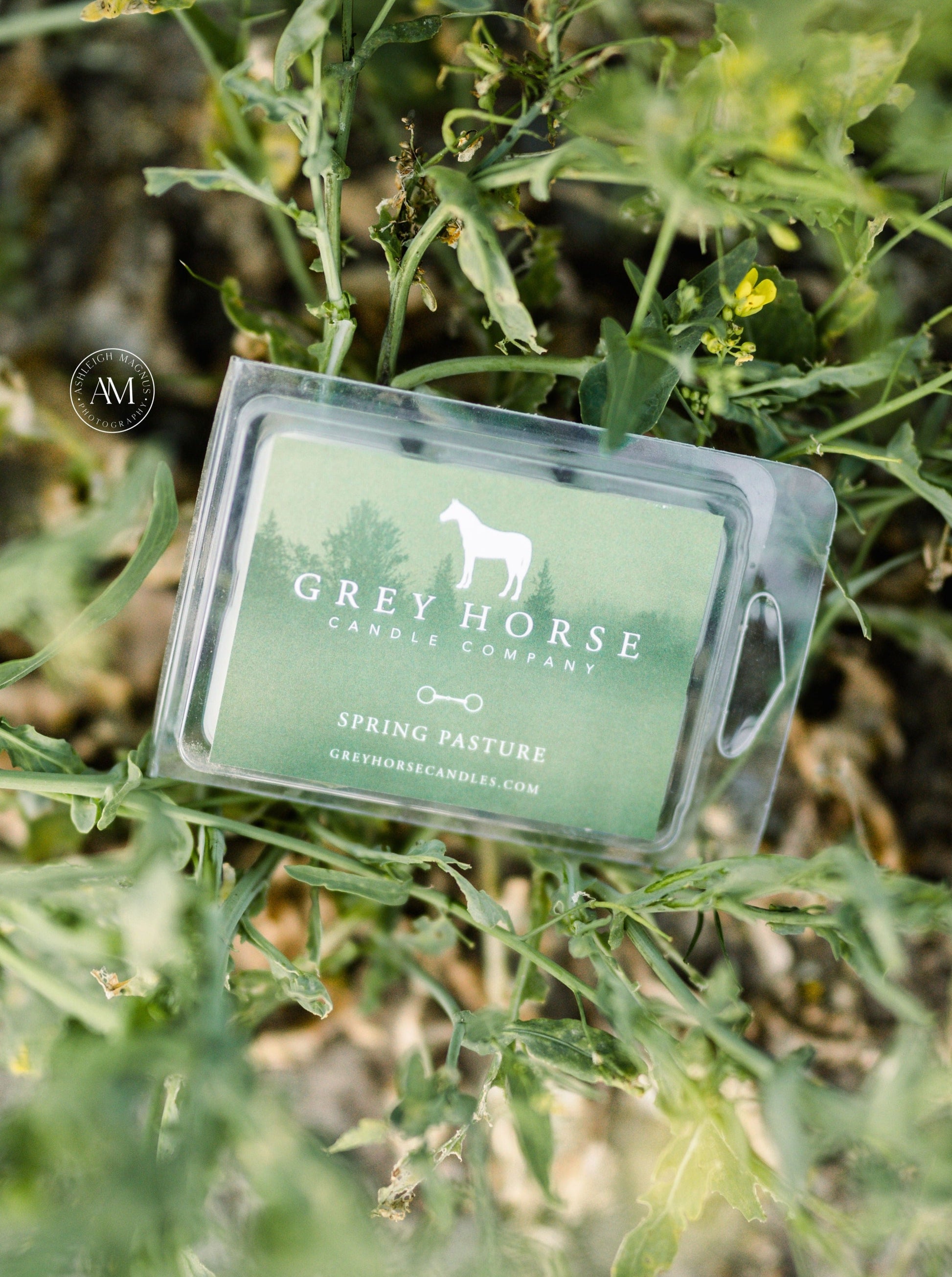 SPRING PASTURE - CLOSEOUT