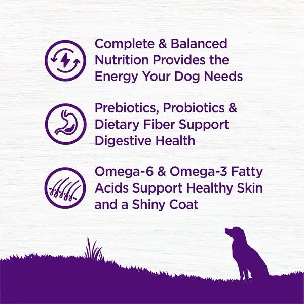 Wellness Complete Health Beef & Barley Adult Dry Dog Food