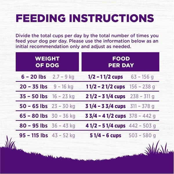 Wellness Complete Health Beef & Barley Adult Dry Dog Food