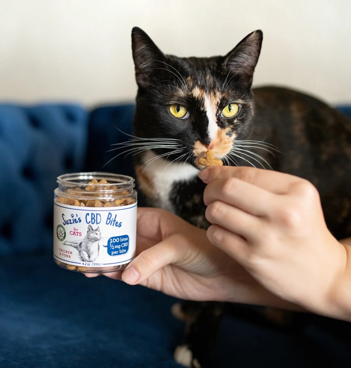 Suzie's CBD Bites For Cats, 2.5mg (4.2oz)