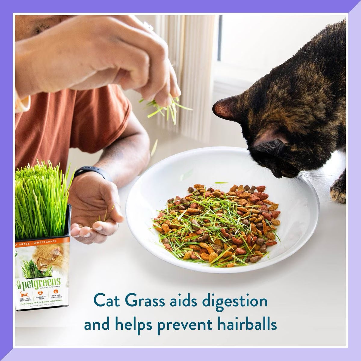 Pet Greens Organic Cat Grass