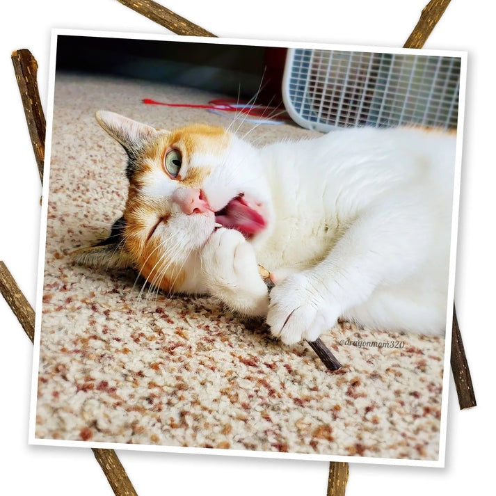 Meowjiuana King Size Silvervine Sticks (6 Pack)