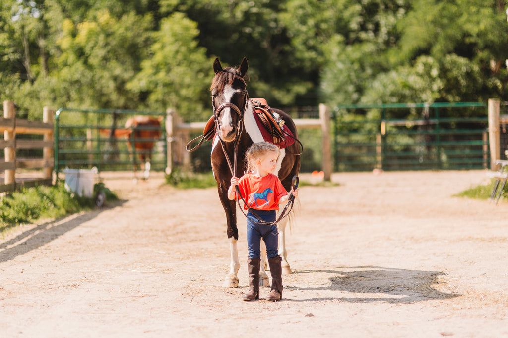 Colorful Pinto Horse T-Shirt