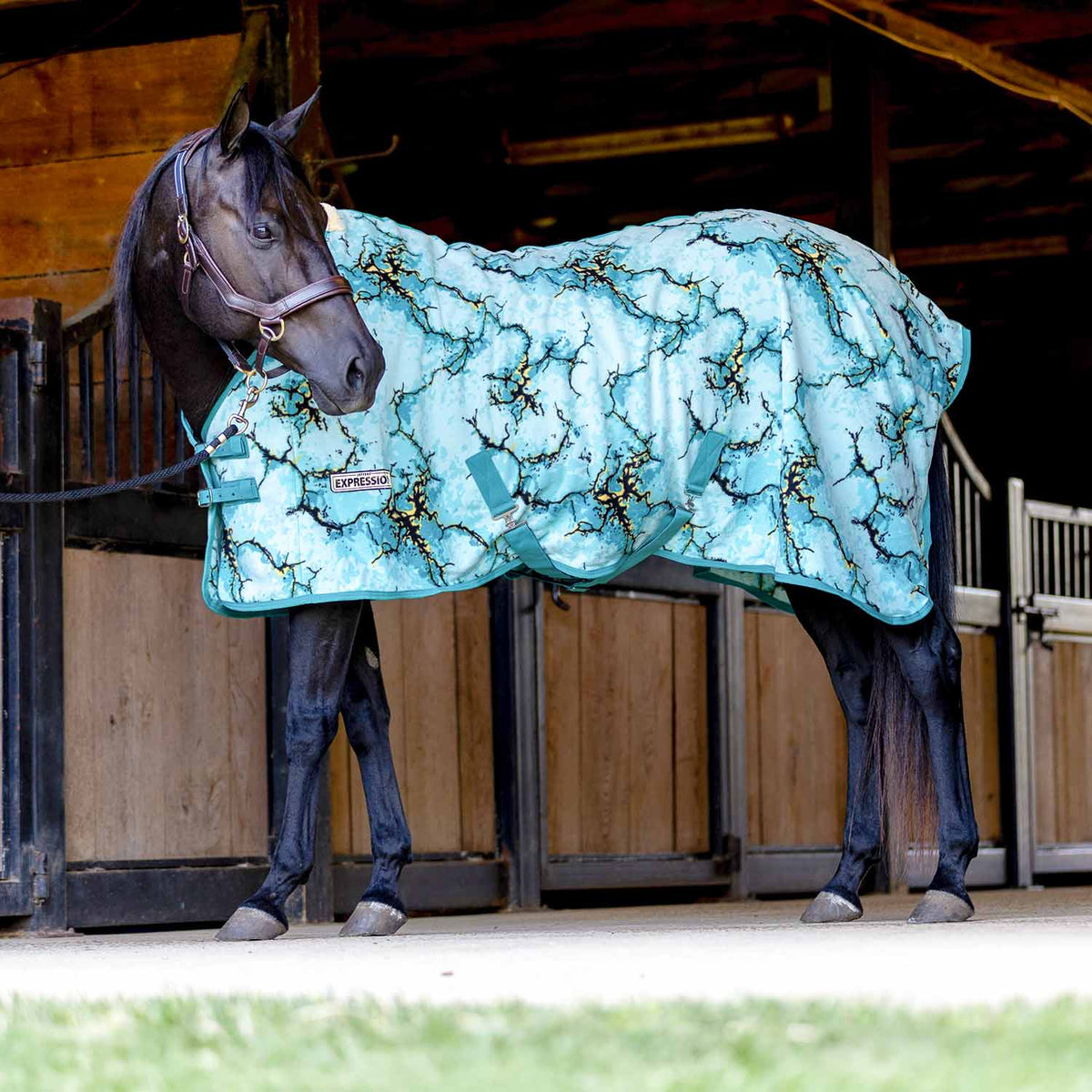 Jeffers Expression Standard Neck Fleece Horse Cooler