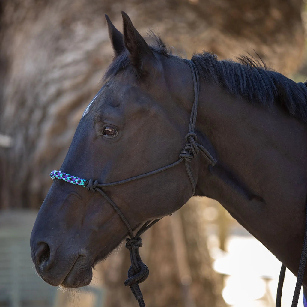 Clinician Training Rope Halter with Braided Nose