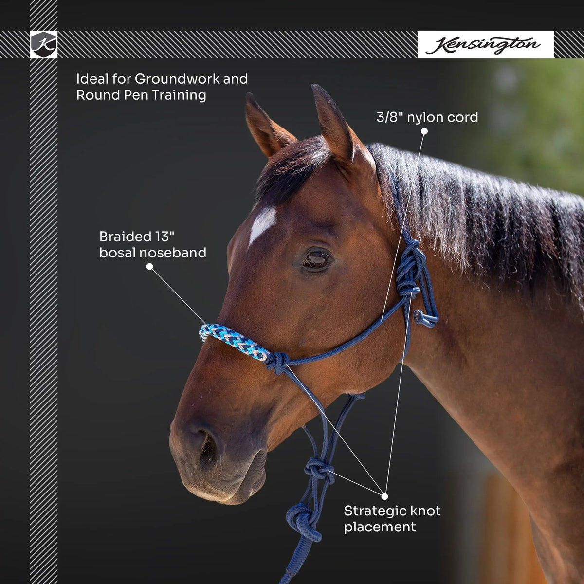 Clinician Training Rope Halter with Braided Nose