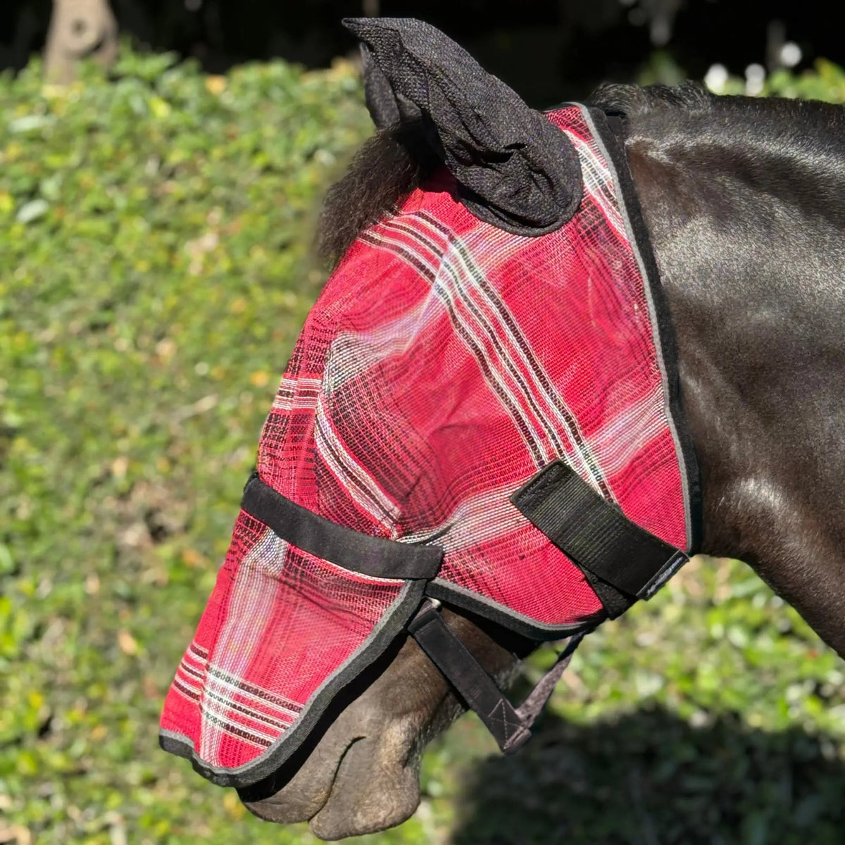 Fly Mask with Long Nose, Ears & 73% UV Protection