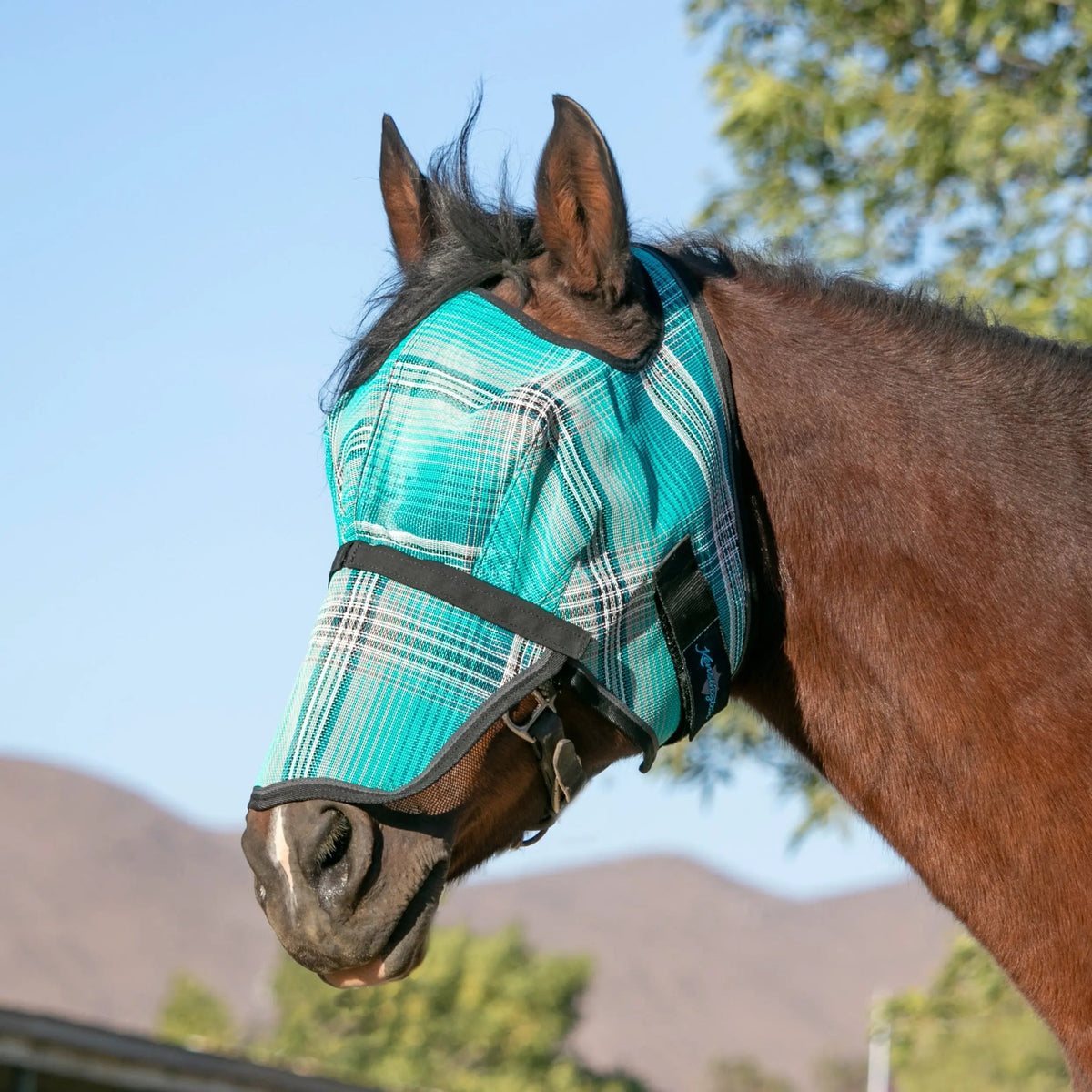 Fly Mask with Nose & 73% UV Protection - Open Top Design