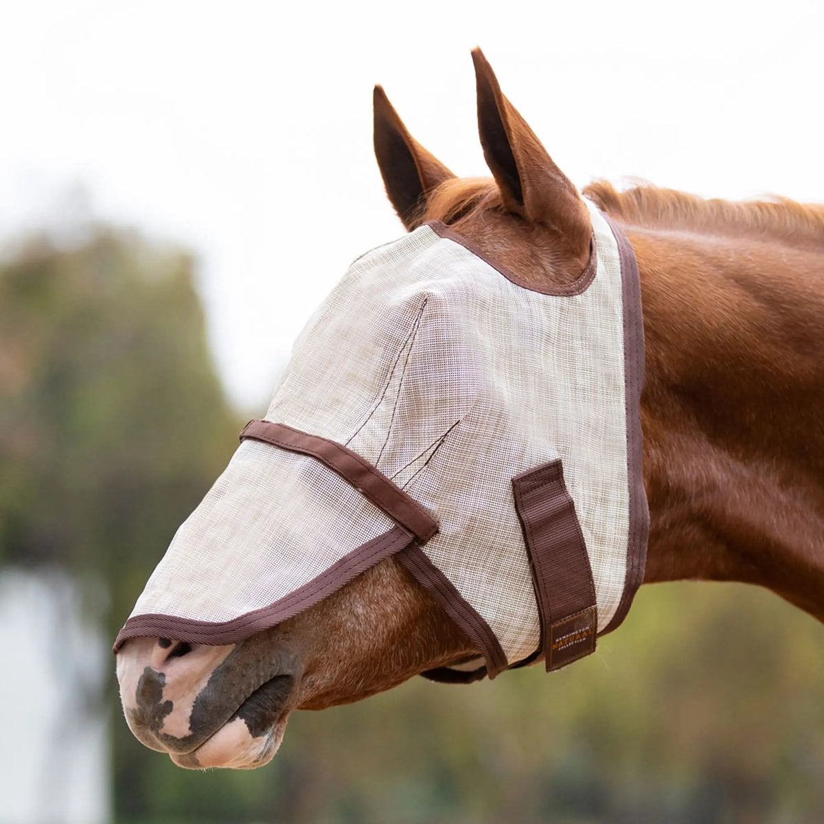 Fly Mask with Nose & 73% UV Protection - Open Top Design