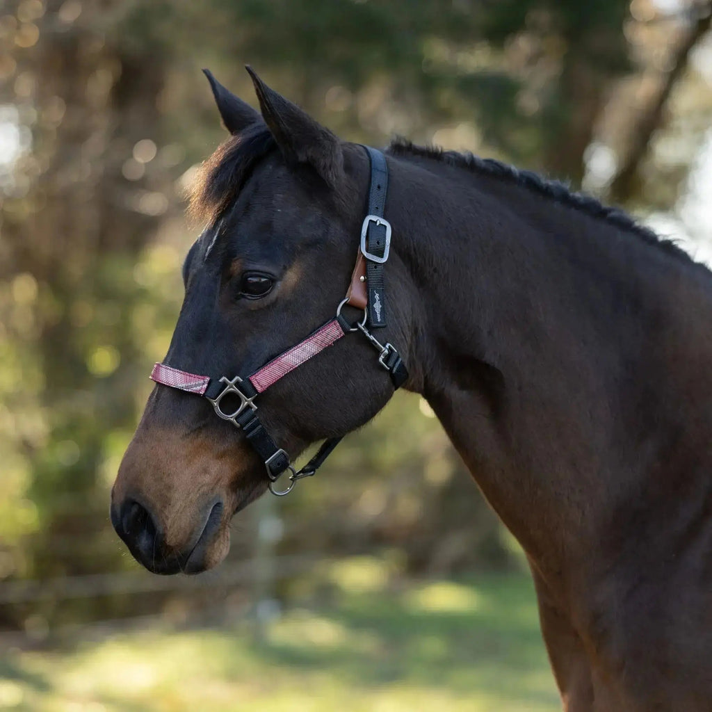 Reflective Breakaway Nylon Halter with Textliene