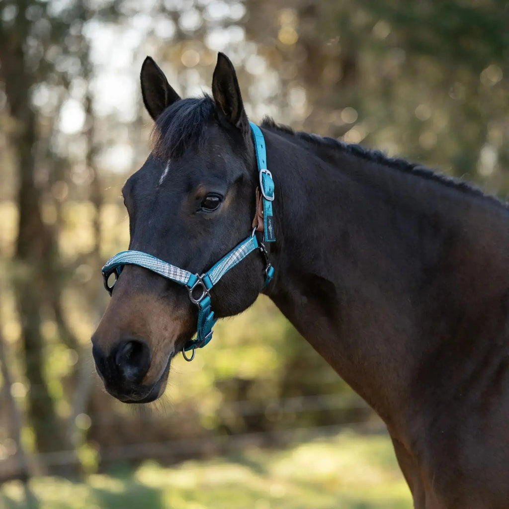 Reflective Breakaway Nylon Halter with Textliene