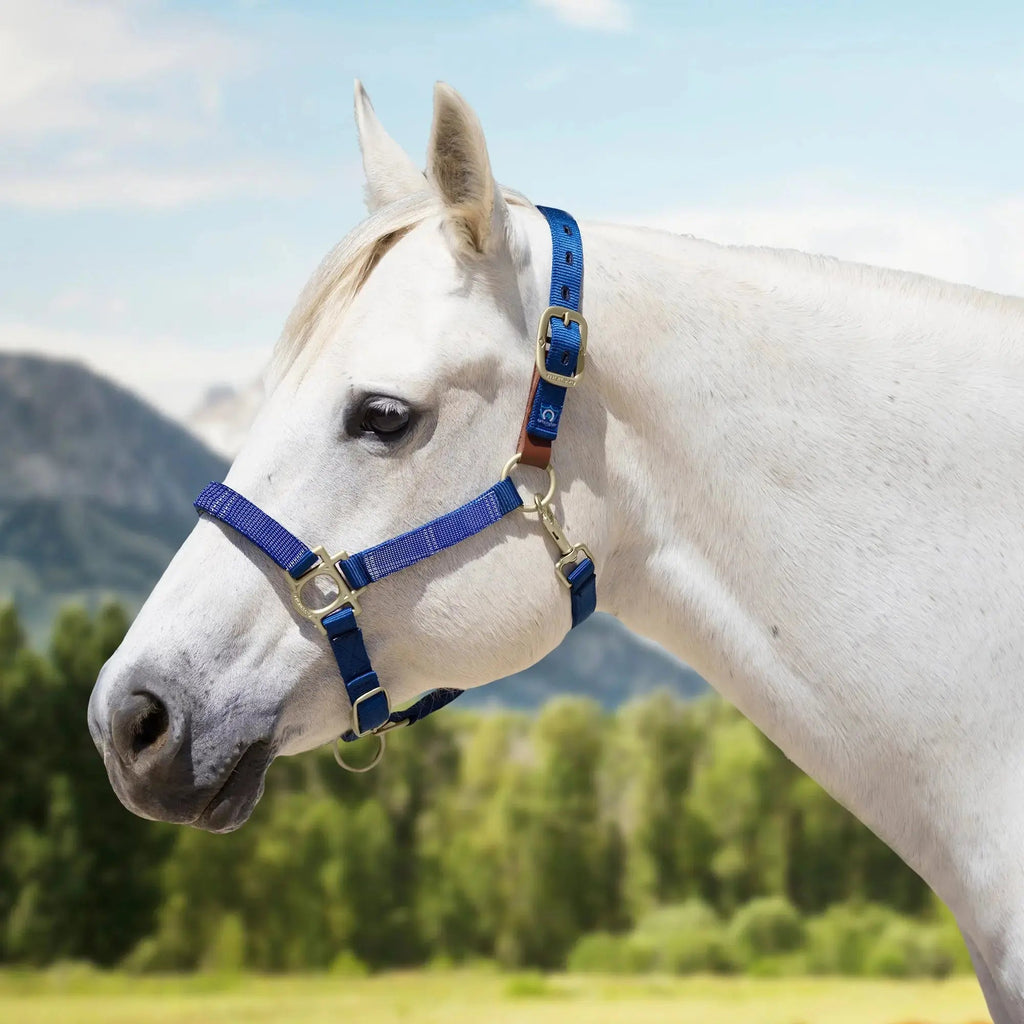 Reflective Breakaway Nylon Halter with Textliene
