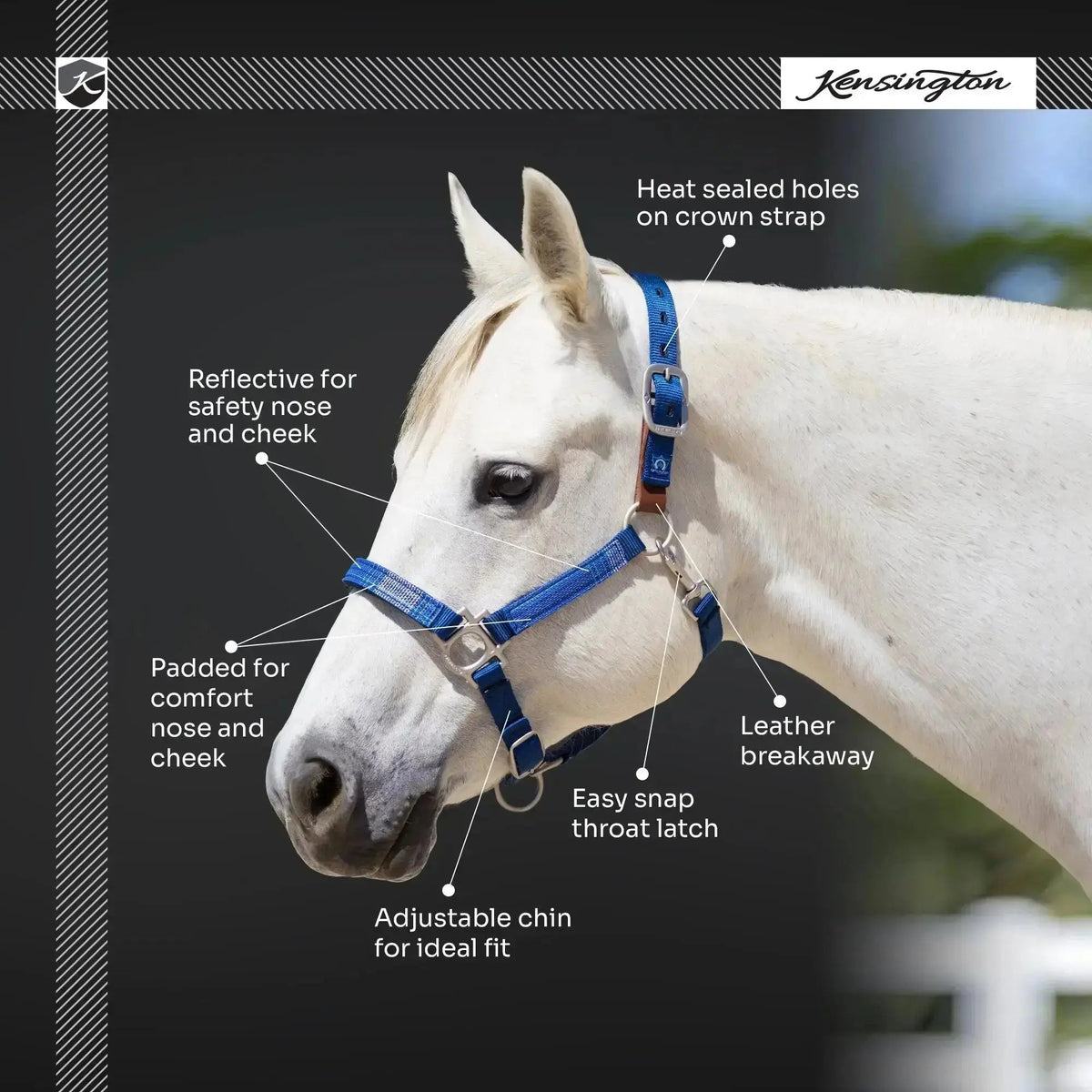 Reflective Breakaway Nylon Halter with Textliene