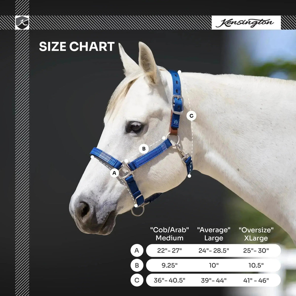 Reflective Breakaway Nylon Halter with Textliene
