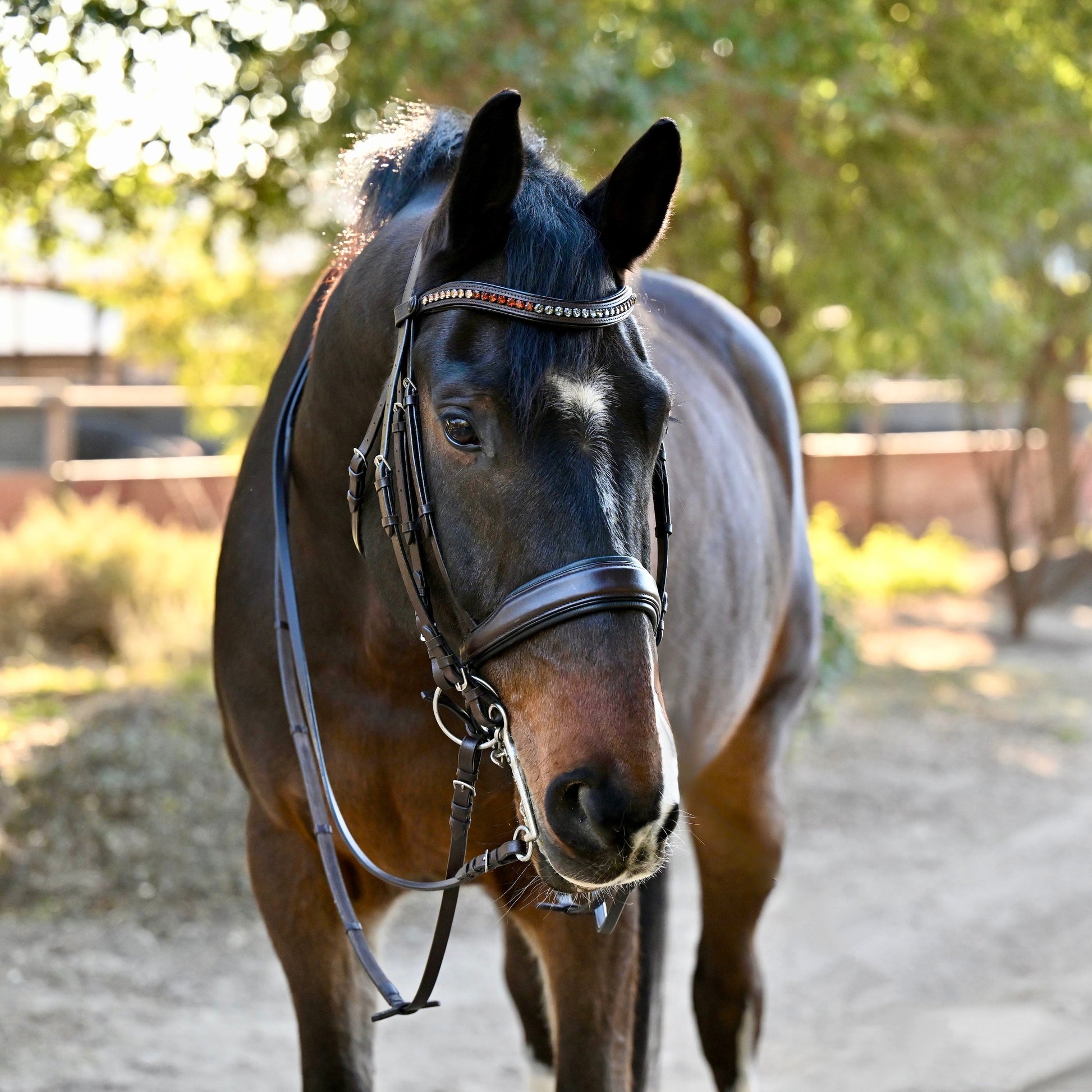 The Sarah - Maple Brown Leather Double