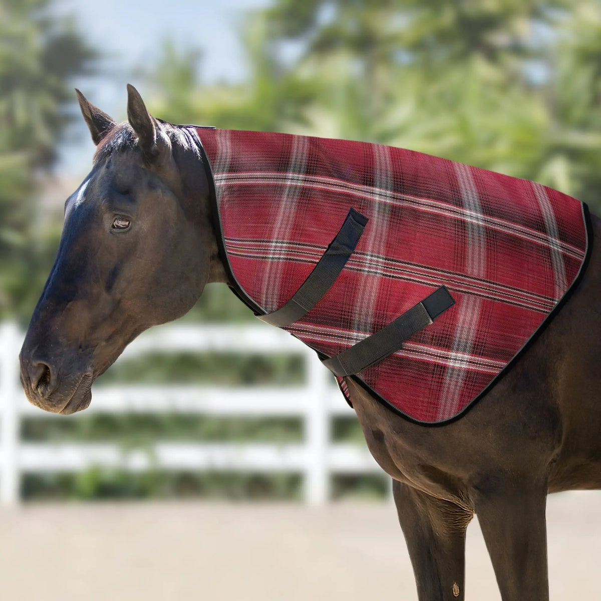 Horse Protective Neck Cover - Pairs with Fly Sheet - 73% UV Blocking
