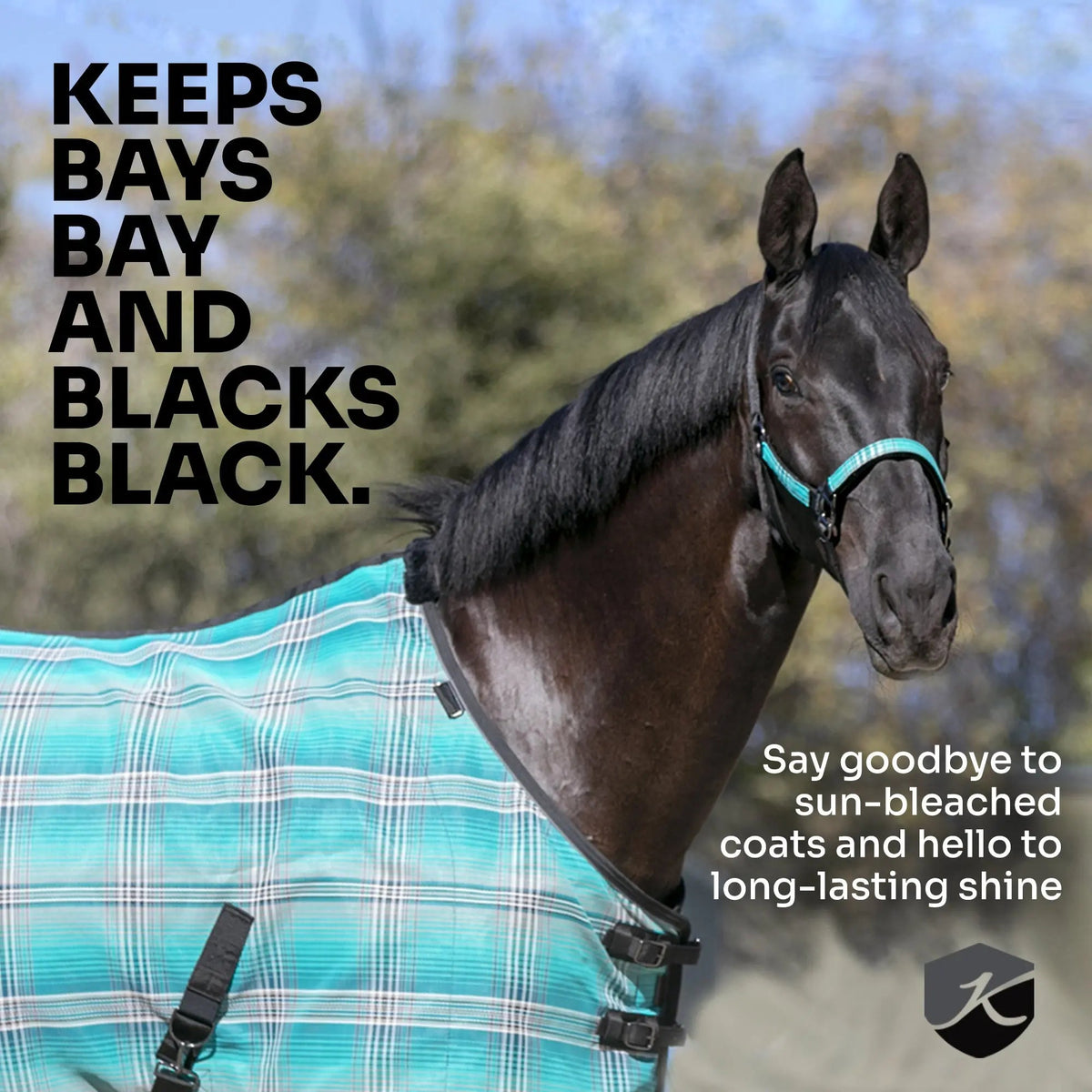 Mini Protective Fly Sheet with Belly Band - 73% UV Protection