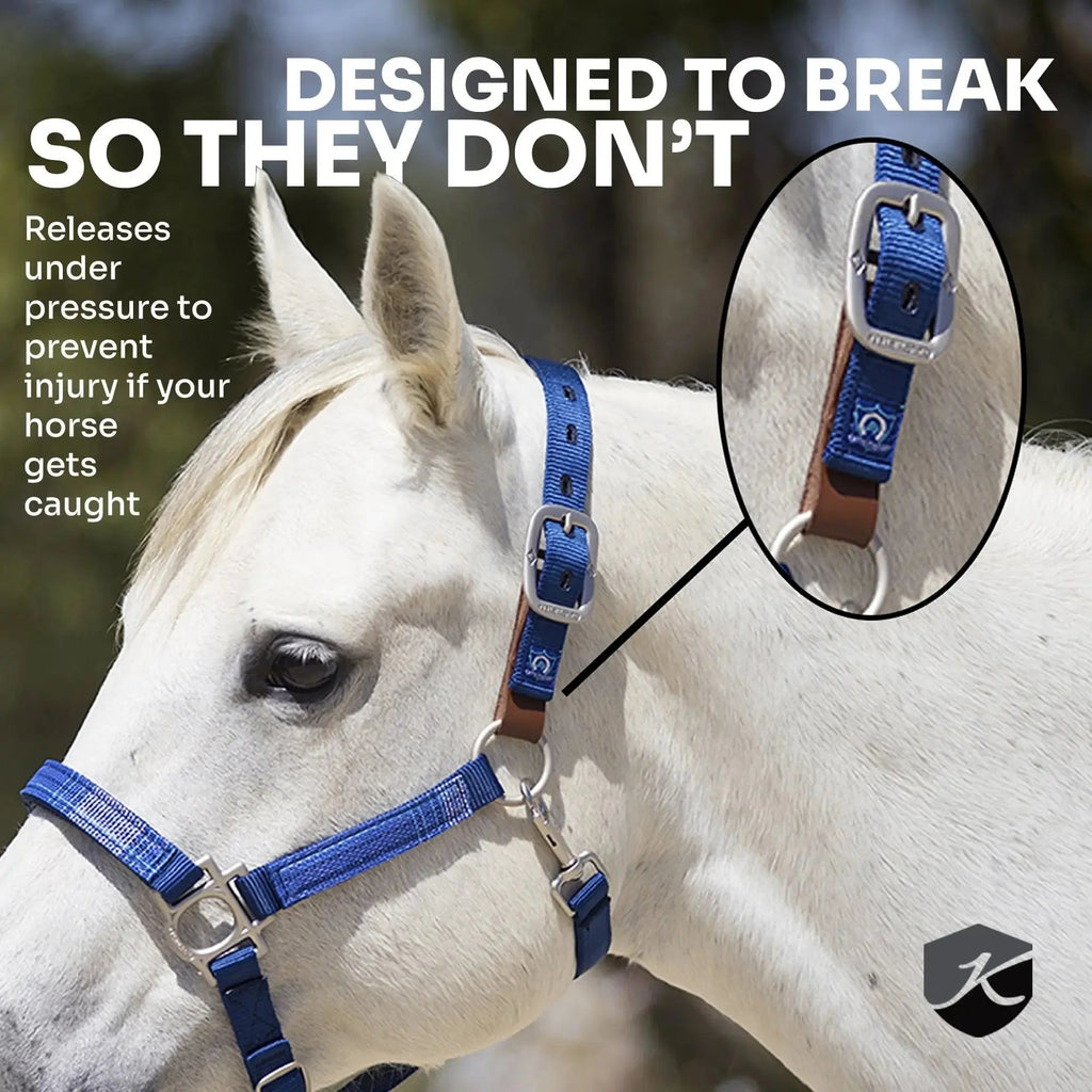 Reflective Breakaway Nylon Halter with Textliene