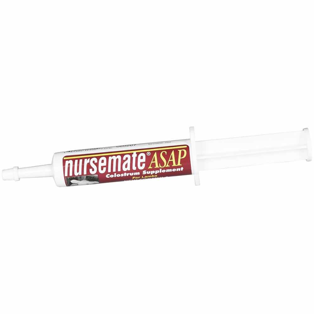 NURSEMATE - Lamb Tube 30Ml 12/Cs