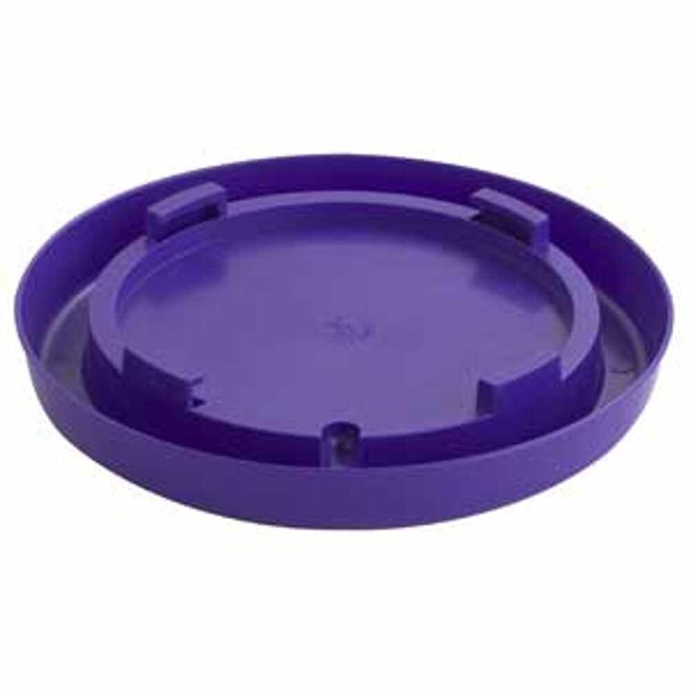 BASE-NESTING GAL-PURPLE
