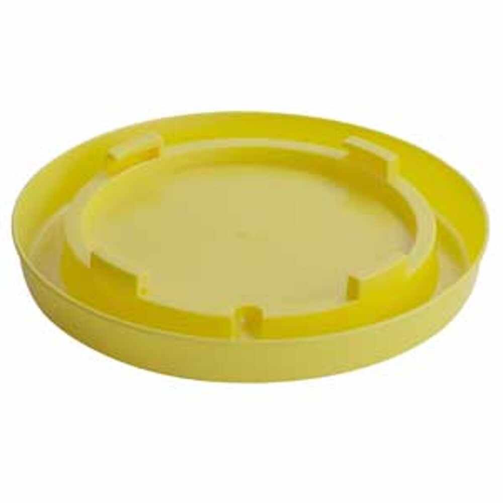 BASE-NESTING GAL-YELLOW