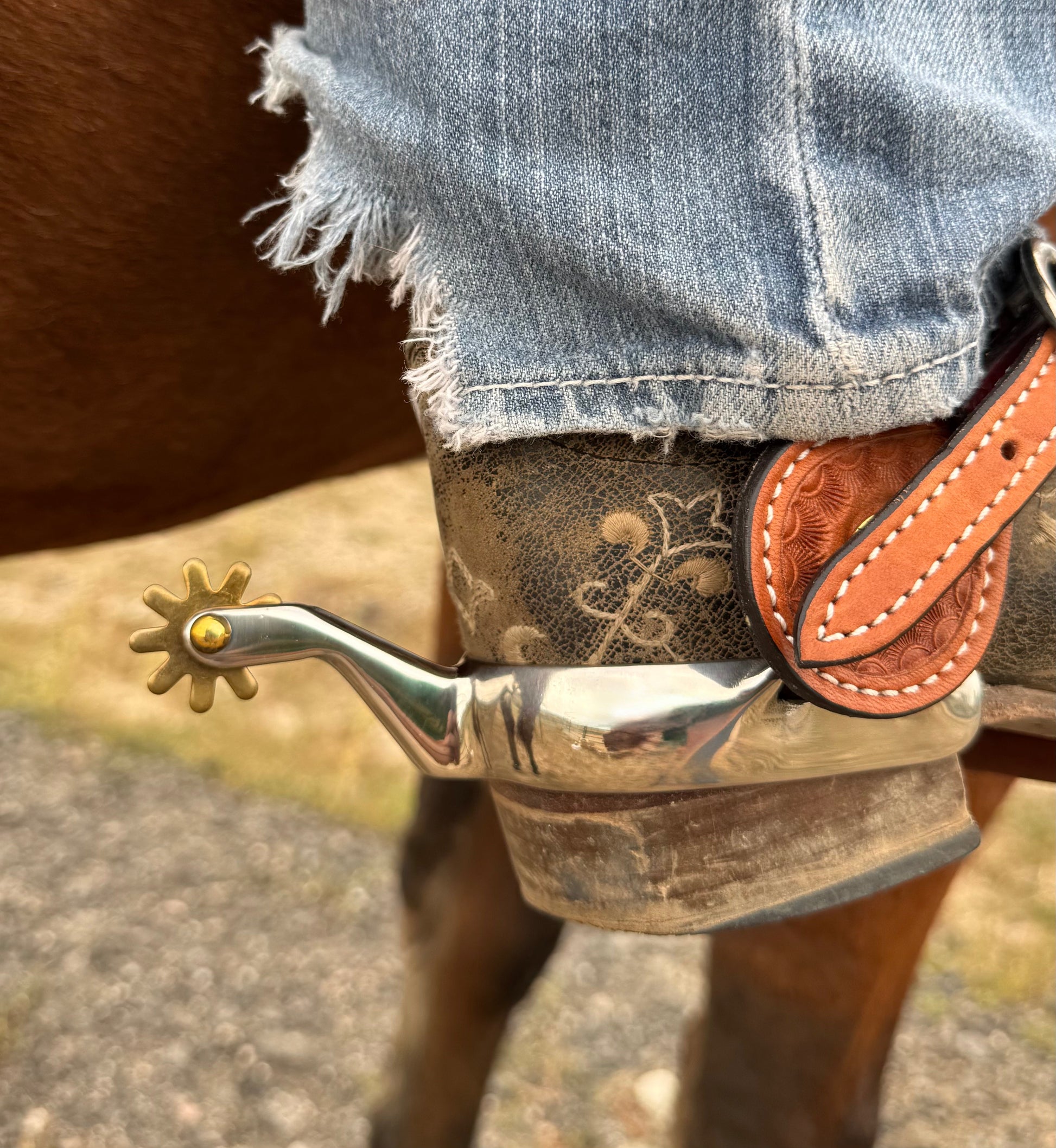 Durango Spurs