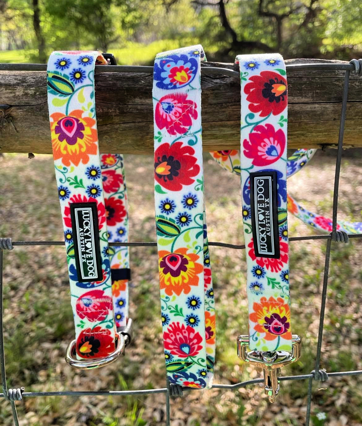 *Ladybird Dog Collar and Leash*