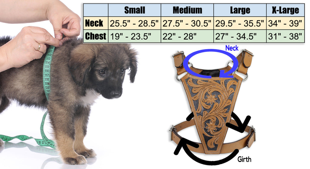 Premium Floral Tooled Gaucho Leather Padded Dog Pulling Harness