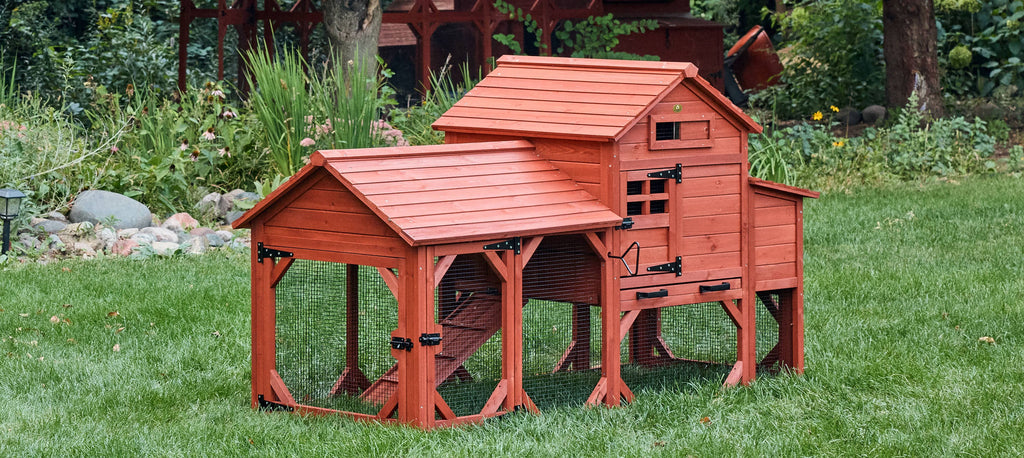 Chicken Coop for 4 Chickens – Leghorn Cottage Chicken Coop
