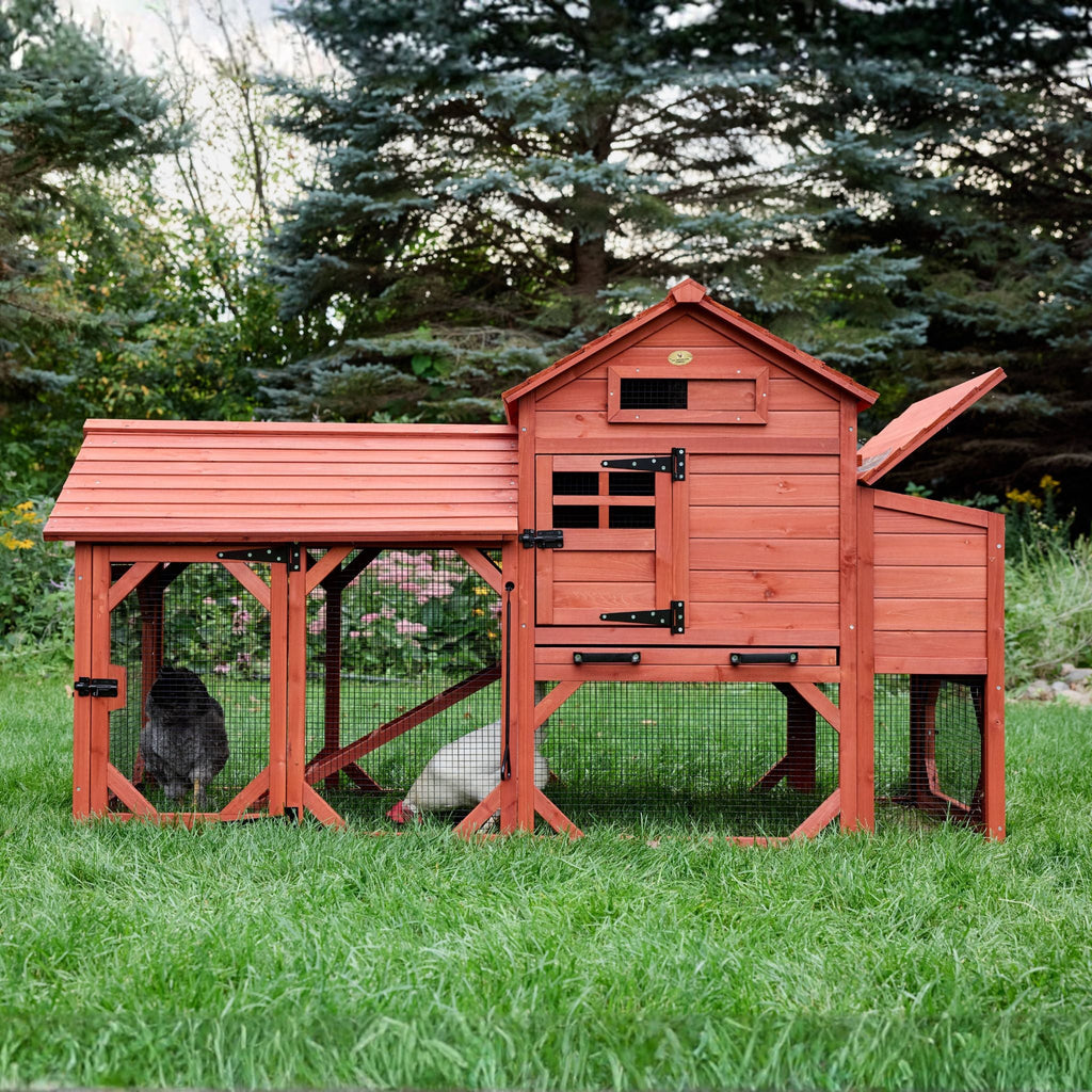 Chicken Coop for 4 Chickens – Leghorn Cottage Chicken Coop
