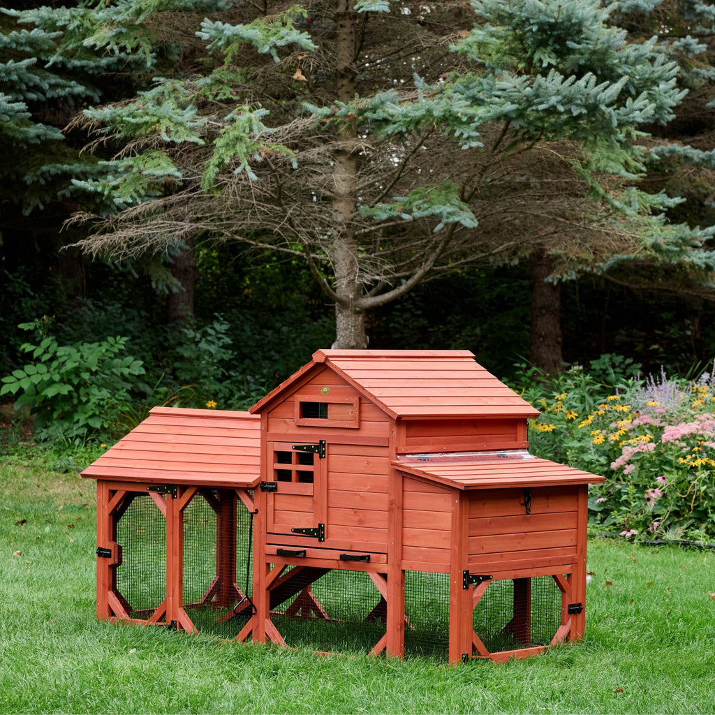 Chicken Coop for 4 Chickens – Leghorn Cottage Chicken Coop