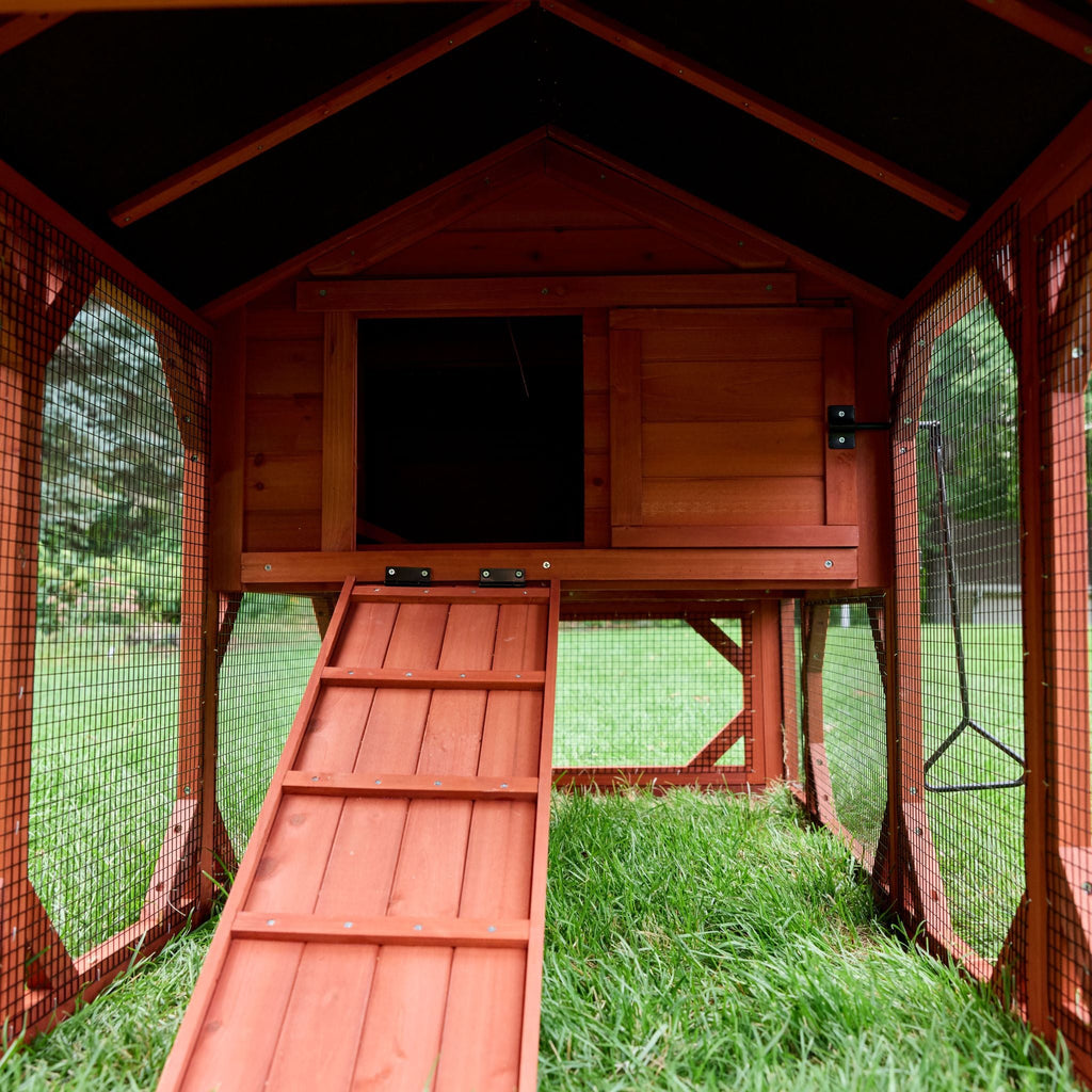 Chicken Coop for 4 Chickens – Leghorn Cottage Chicken Coop