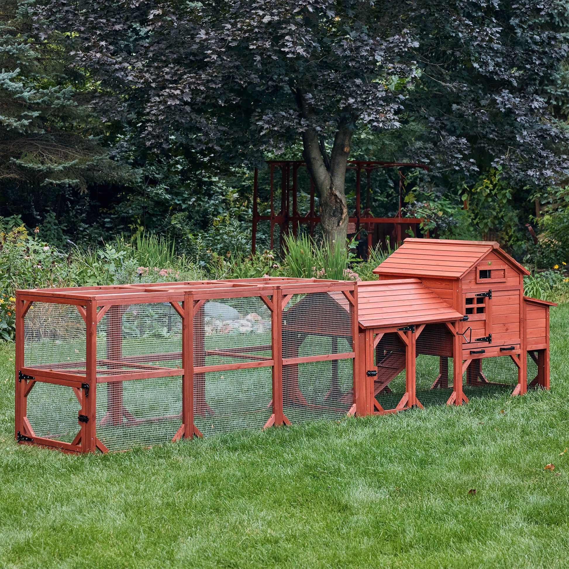 Chicken Coop for 4 Chickens – Leghorn Cottage Chicken Coop