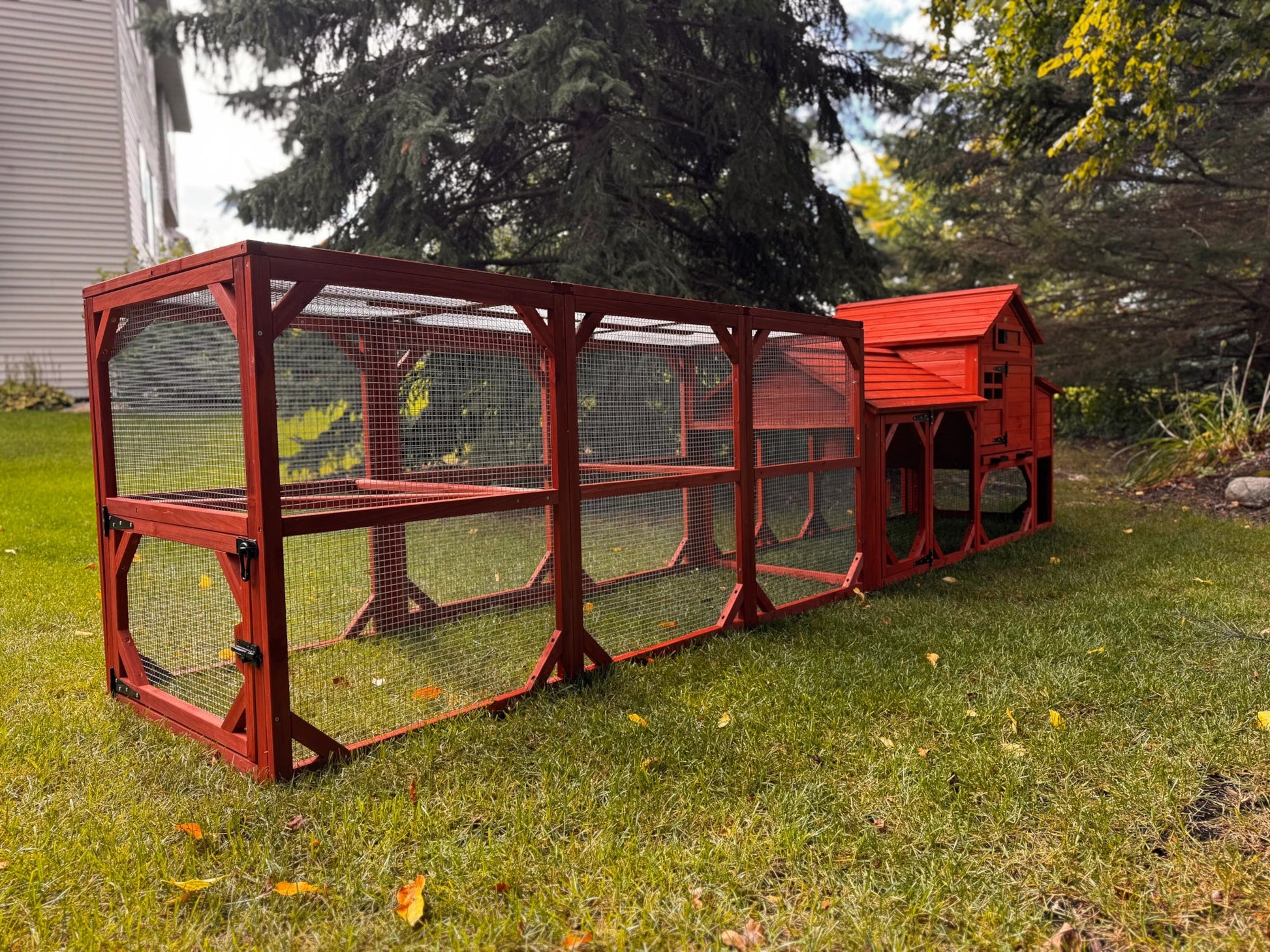 Chicken Coop for 4 Chickens – Leghorn Cottage Chicken Coop