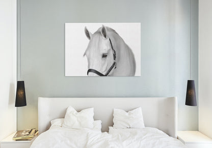 Animal canvas wall art