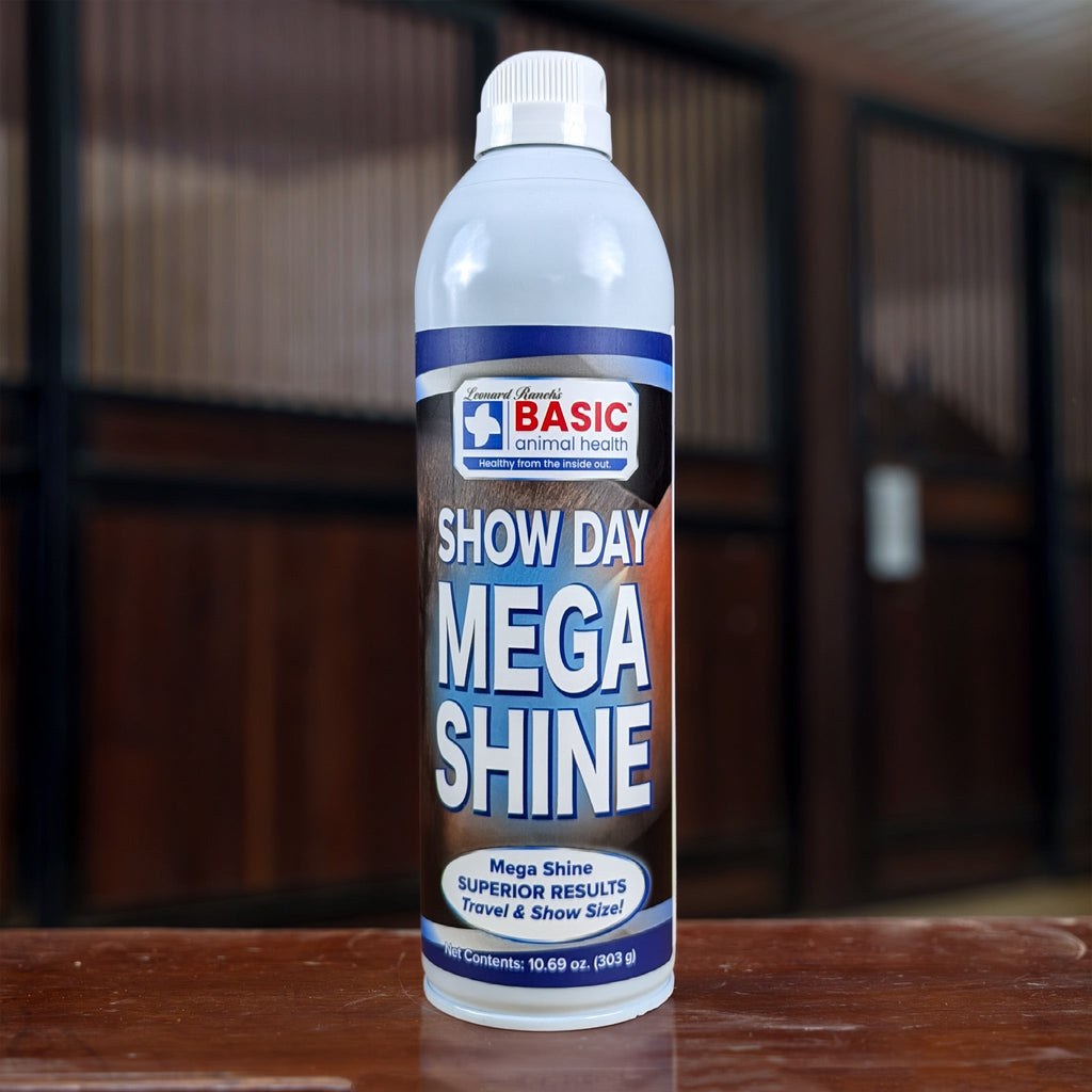 Mega Shine