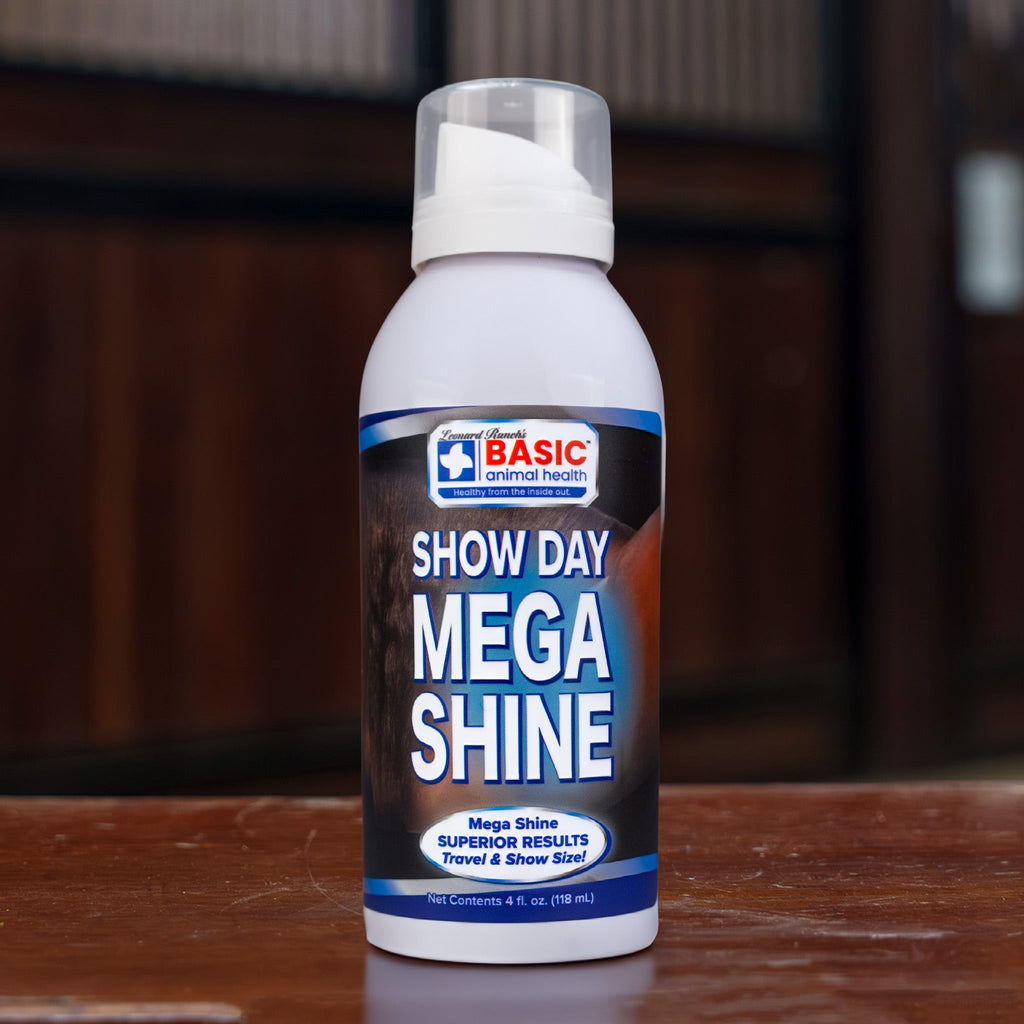 Mega Shine
