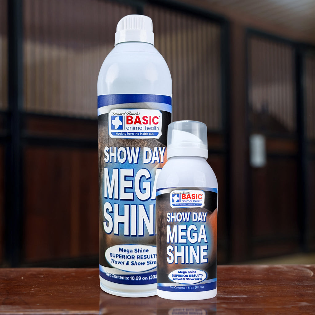 Mega Shine