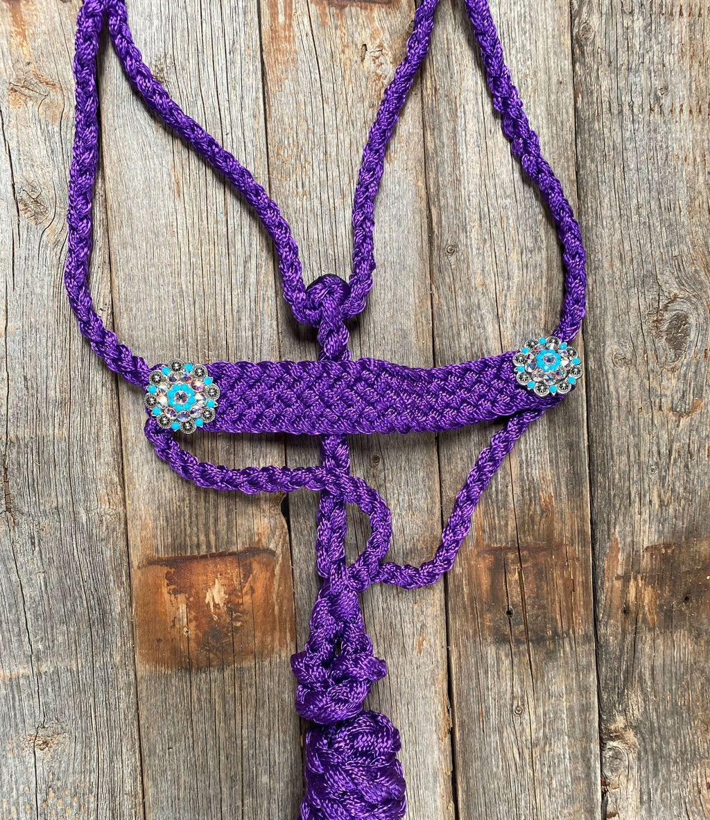 Purple Mule Tape Halter - Turquoise #MT107